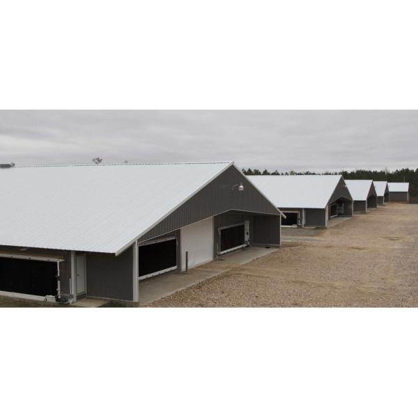 Industrial-Style Modern Metal Steel Structure Gymnasium for Chicken Breeding Milk