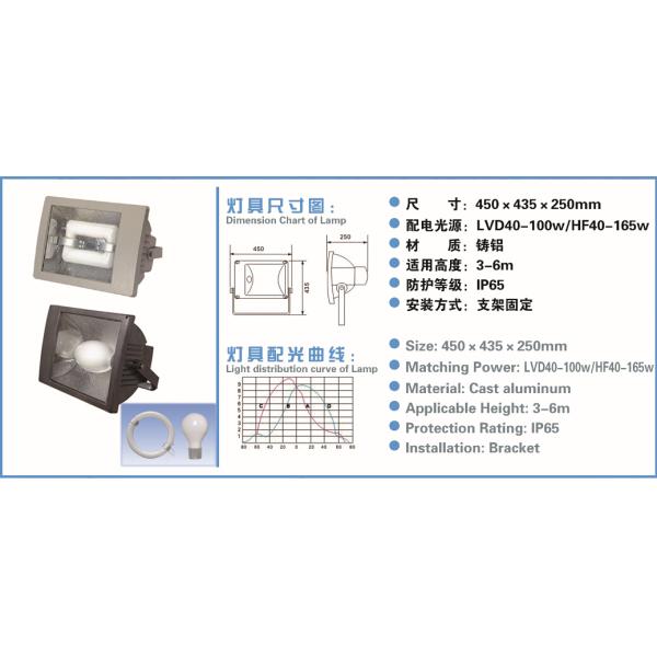 LVD Floodlights| Low-frequency induction lamp |Outdoor lighting