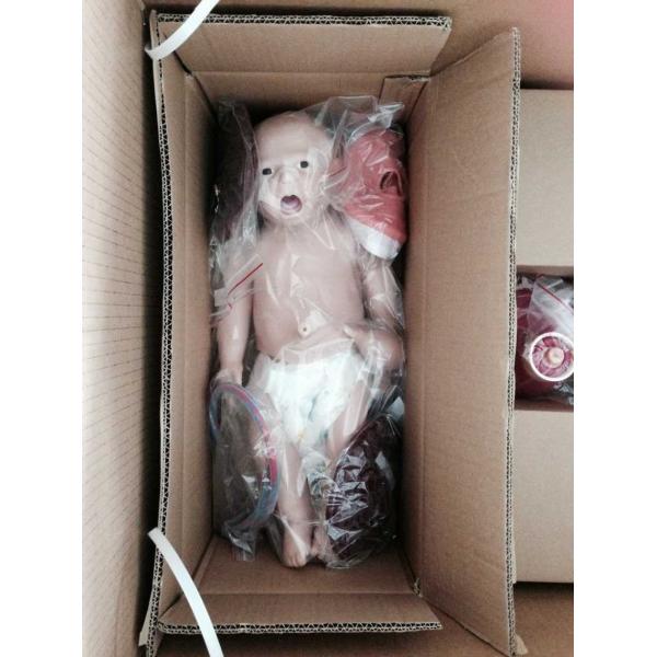 Female Multifunctional Gynecological Childbirth Manikin