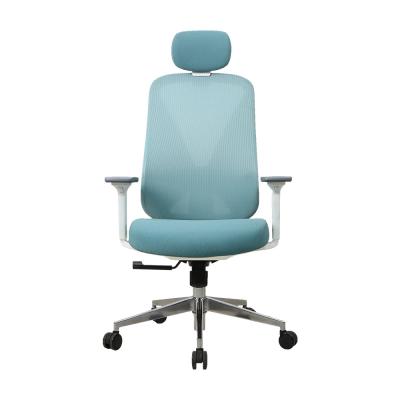 Mesh Office Chairs Modern Simplicity verde ergonômico comercial prático