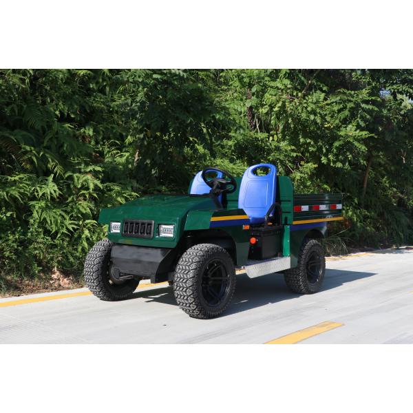 Whosale Excar New Design Model Electric Mini Buggy Car  Golf Car