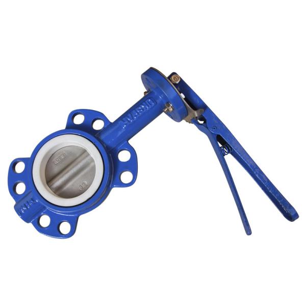 Blue Wafer Butterfly Valve 125 Lbs Rust Proof Long Working Life