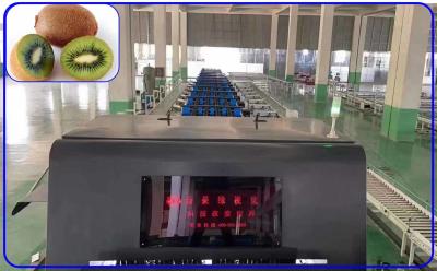 Qualidade de 2 canais que classifica o equipamento Kiwi Sorter de aço inoxidável inteligente