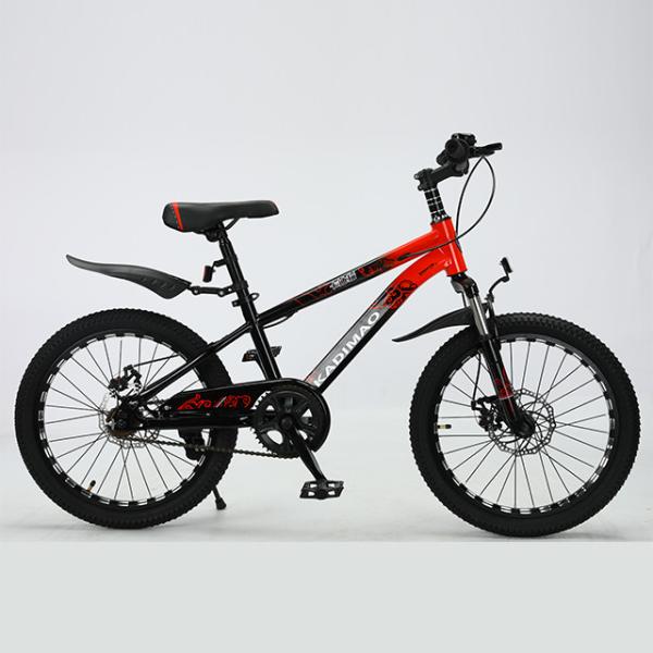 Customized Logo 20 Inch Mountain Bicycle MTB Custom Mountain Bike With Alloy Rim