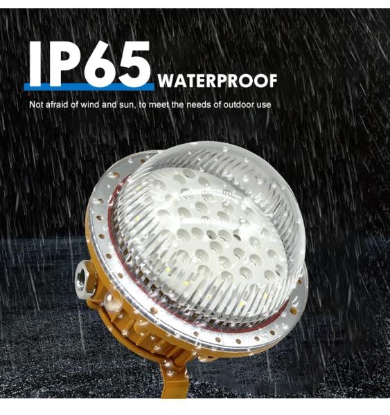 Explosion-Proof Light Ip65 Gas Station Lighting 50w 100w 150w Led Explosion Proof Lamp