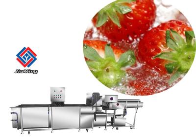 Auto limpeza vegetal da morango dos espinafres da salada da máquina de lavar do fruto
