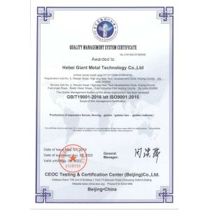 Hebei Bendin Industrial Technology Co., Ltd.
