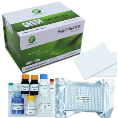 Brucelose ELISA Kit diagnóstica da Brucella do anticorpo para o porco bovino ISO9001 dos carneiros