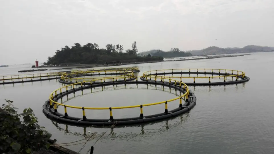 HDPE Floating Fish Cage 10m-50m Diameter Anti-Typhoon Design