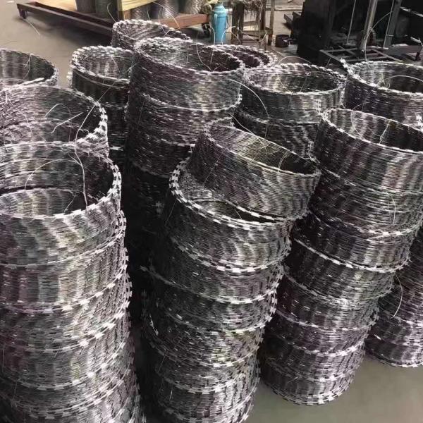 Powder Coated Galvanized Concertina Coil , Concertina Barbed Wire Cbt-65