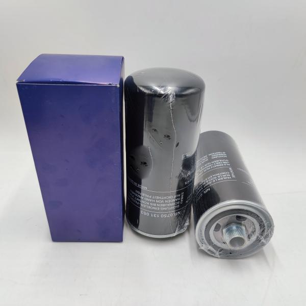 Direct Supply Folding Hydraulic Element Truck Fuel Filter YN21P01157R100 for Car Model car