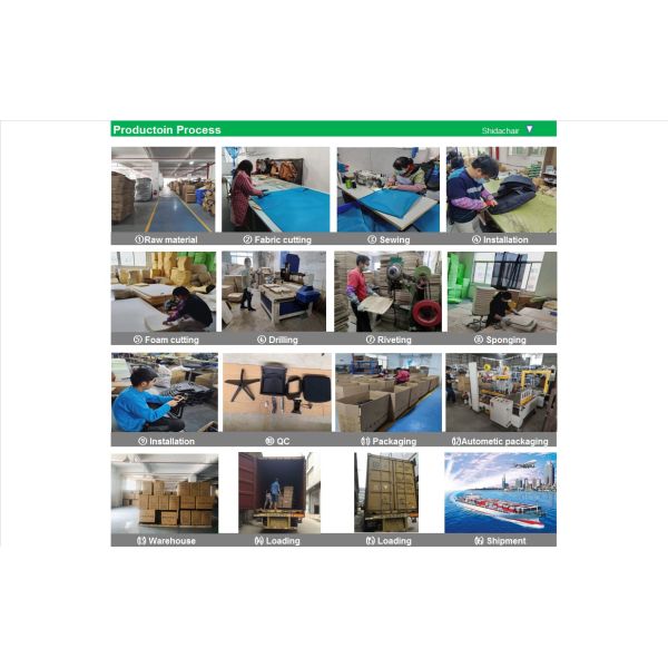 4 Legs PP Stackable Meeting Chair Fixed For Office / Conference