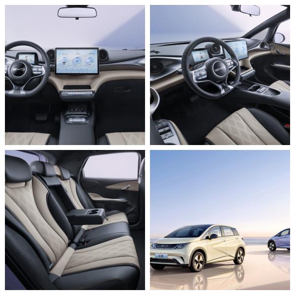 Automobile Factory 2WD BYD EV Car Whale Pure New Energy Electric Vehicle