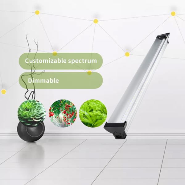 Industrial Grade RoHS Dimmable Led Grow Lights Greenhouse 50000hrs Lifespan