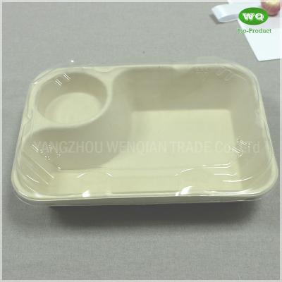 Biodegradable Unbleached 850ml Meal Box With Sauce Cup,Tree Free Sugarcane Bagasse Meal Prep Take Out Container In Bulk