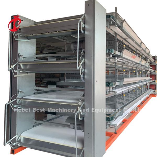 H And A Type Automatic Poultry Layer Cage 15000 Birds Popular In Africa Rose