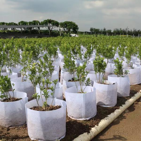 Customize  Hot Selling non woven fabric Biodegradable plant bag  breathable flet tree grow bag large nursery  bag with handle