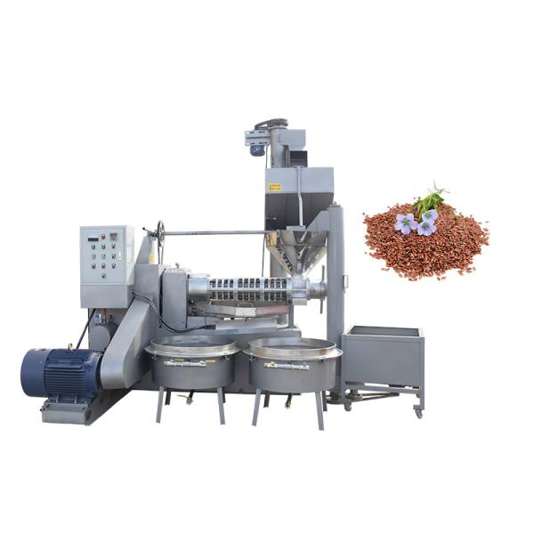 Тип извлечение 6ИЛ-160 масла прессы машины винта высокой эффективности/винта прессы