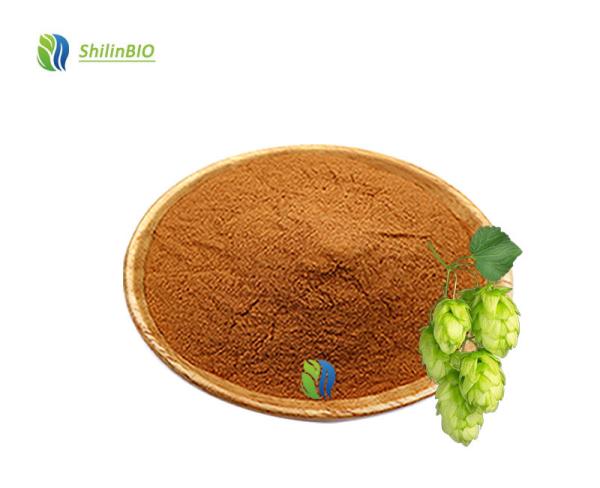 Hops Flower Extract Powder 1%-98% Xanthohumol