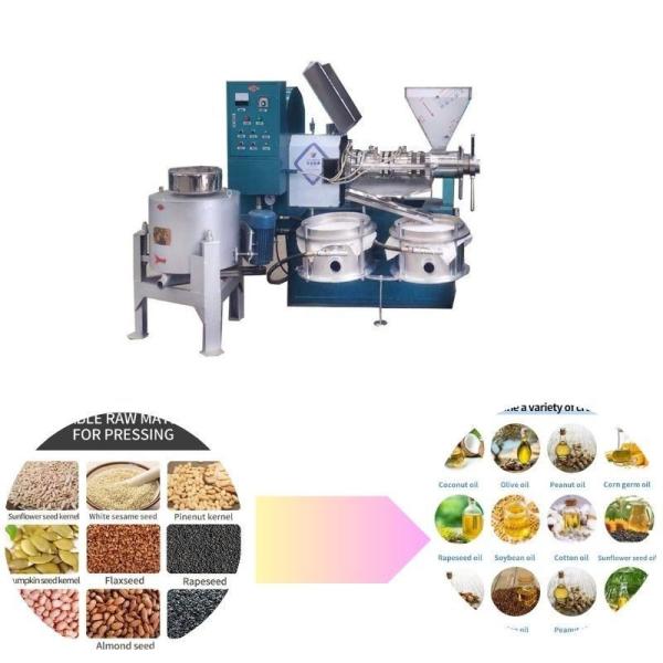 Sesame Cottonseed Oil Press Machine Flaxseed Making Machinery with Customization