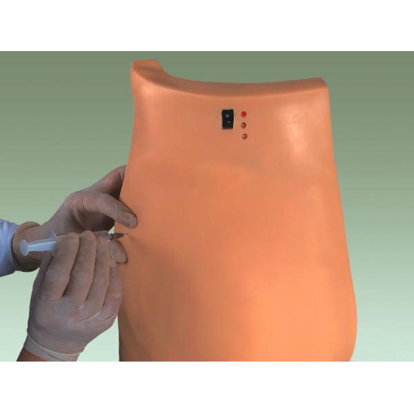 Electronic Intramuscular Injection Buttocks For Medical Schools And Colleges