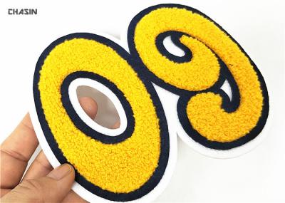 Remendos do time do colégio do número de toalha para revestimentos Eco de Letterman amigável