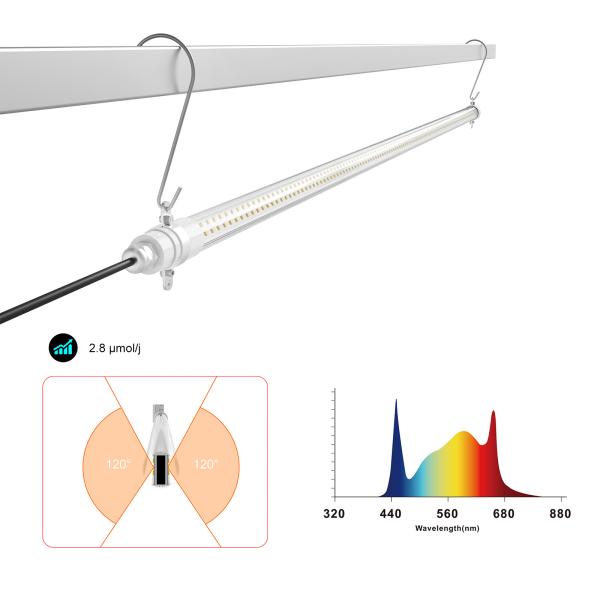 Продовольственный светодиодный культивирующий свет высокоэффективный 3,0 Умоль /