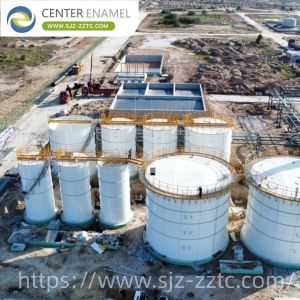 Center Enamel Provides Anaerobic Digestion Technology for Singapore Municipal Sewage Treatment Project