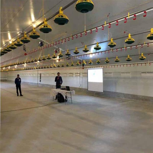Prefab Steel Chicken House with PVC Membrane Roof