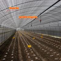 Mushroom Growing Black White PEP Mushroom Farm Greenhouse Agricultural Greenhouse