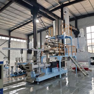 High Capacity Dry Pet Food Production Line Stainless Steel With Two Screw 200kw 1000kg/Hr