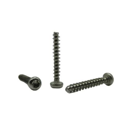 Pan Head Torx 304 Stainless Steel PT Self Tapping Screw PB3*20 customized