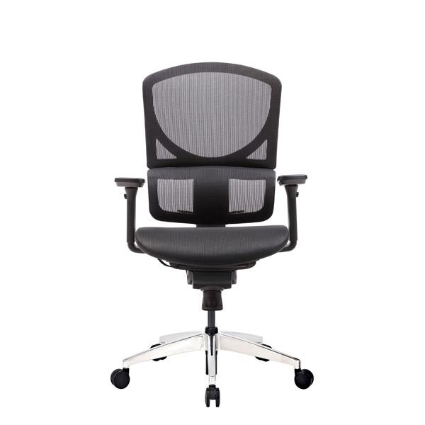 ISEE X Swivel Ergonomic Office Chairs BAS System Rolling With Back Support Full Mesh