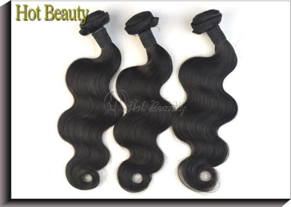 Malaysian 100 Virgin Human Hair Extensions Straight Natural Black