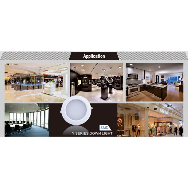 20W SMD LED downlight wholesale supply