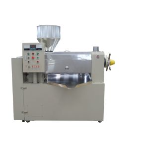 Low Residual Oil Rate Large Oil Press Black Soldier Fly Oil Expeller Palm Kernals Oil Mill