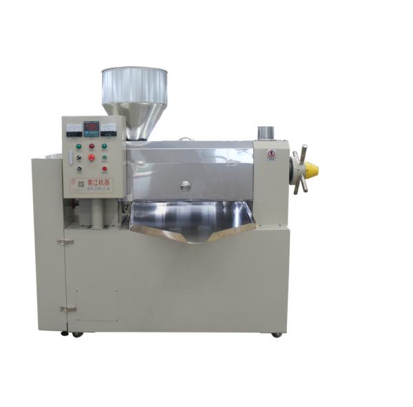 Low Residual Oil Rate Large Oil Press Black Soldier Fly Oil Expeller Hot Pressing Machine