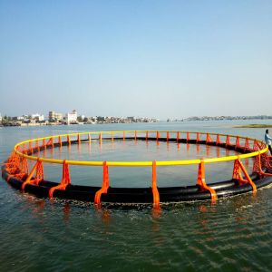Modular Customizable HDPE Complete‑Set Fish Farming Cage
