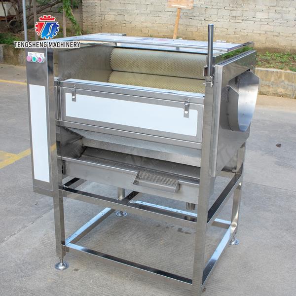 Citrus cleaning production line Fruit Orange Wash Washer Washing Cleaning Dryer processing production Machine