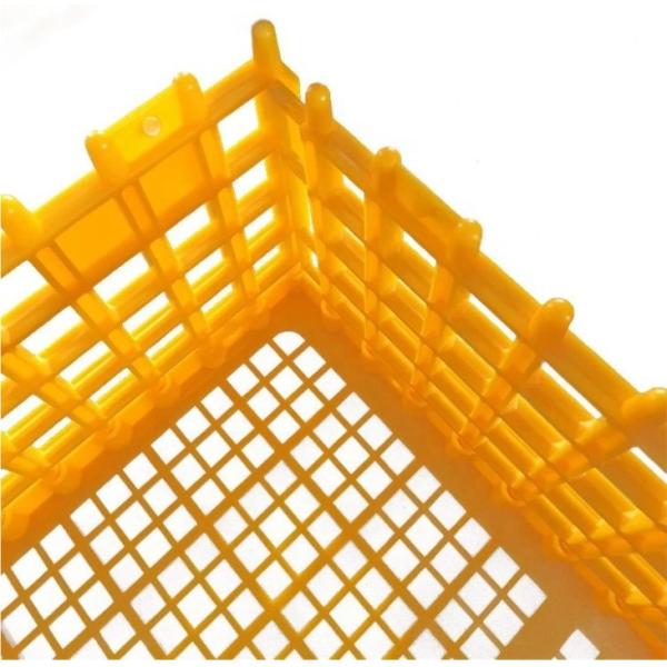 Живите клети перехода утки PE 12,25 дюймов для цыплят