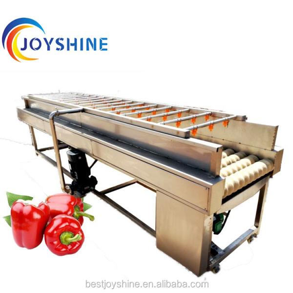Tomato Washing Machine With Water Filtration System 304 Stainelss Steel Material