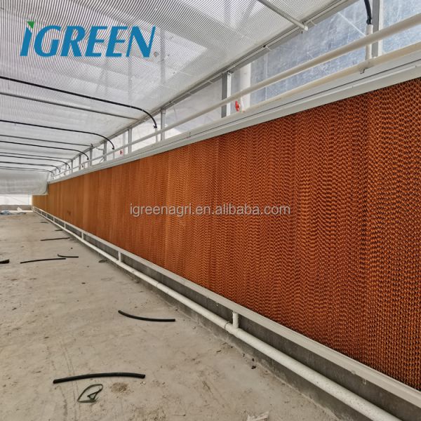 Large Single Layer Multi-span Agricultural Greenhouses with PE Film Cover for Plant Growth