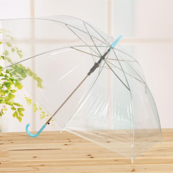 Promotion Advertising PVC Umbrella with Customized Logo and Black Metal Frame