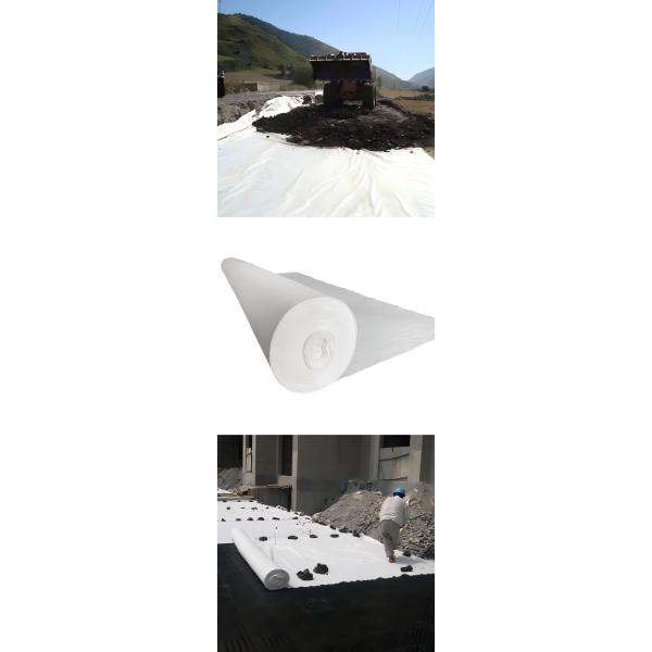 Geotextile