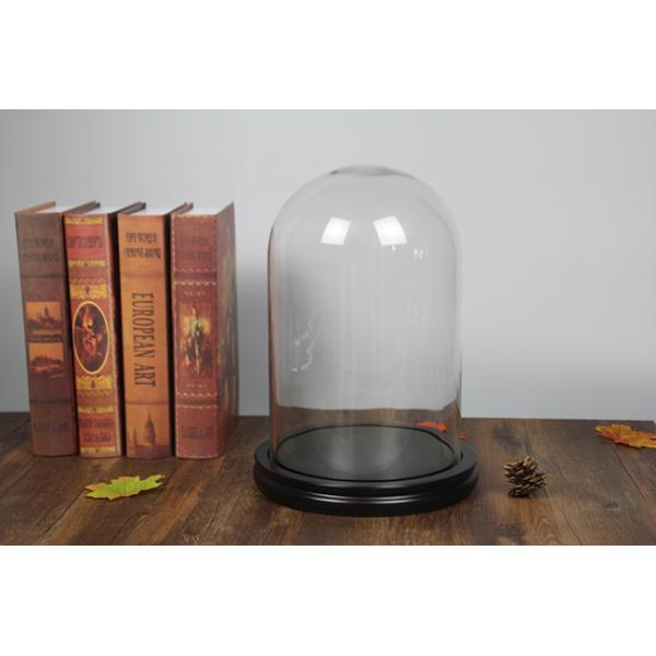 Preserved Rose Display Glass Homeware Cloche Cover with Black Wooden Base