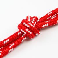 Corde s'élevante tressée par double en nylon mou de corde pour le collier de corde de chien de haute résistance