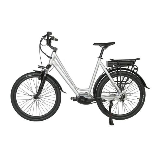 DOMANCA 750w Lady Electric Bike Sensor Smart Type and 18 Speed Gears for City Riding