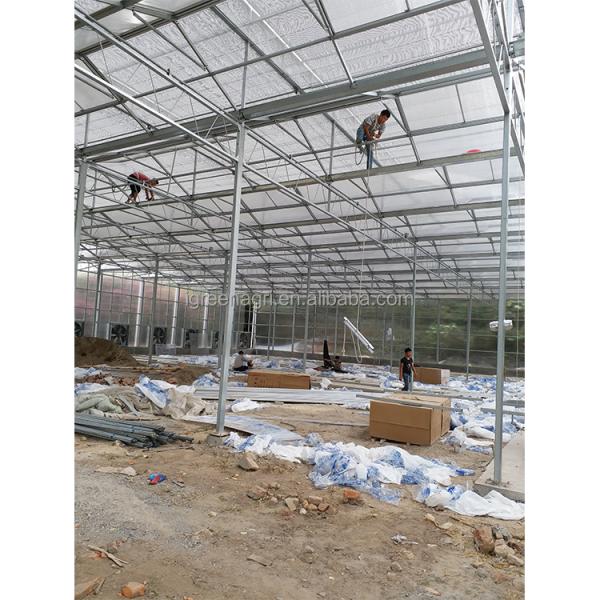 IGreen Commercial Polycarbonate Greenhouse Greenhouse Polycarbonate Frame