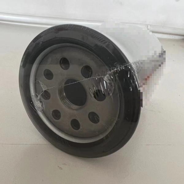 Engineering Machinery Parts RanyouZx250 4616545 4616544 Fuel Filter for Performance