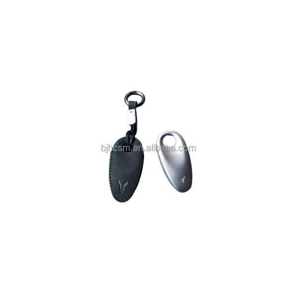 100% Tested VOYAH Light-Chasing Smart Key with Fedex Shipping Ways